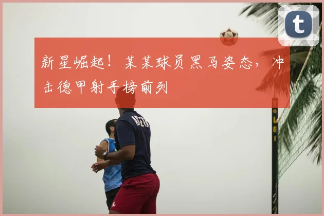 新星崛起!某某球员黑马姿态,冲击德甲射手榜前列