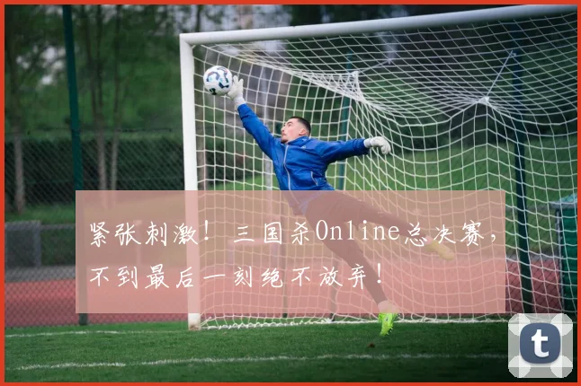 紧张刺激！三国杀Online总决赛，不到最后一刻绝不放弃！
